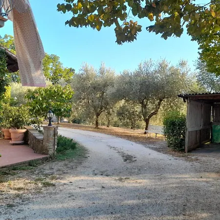 8380 Il Tiglio *